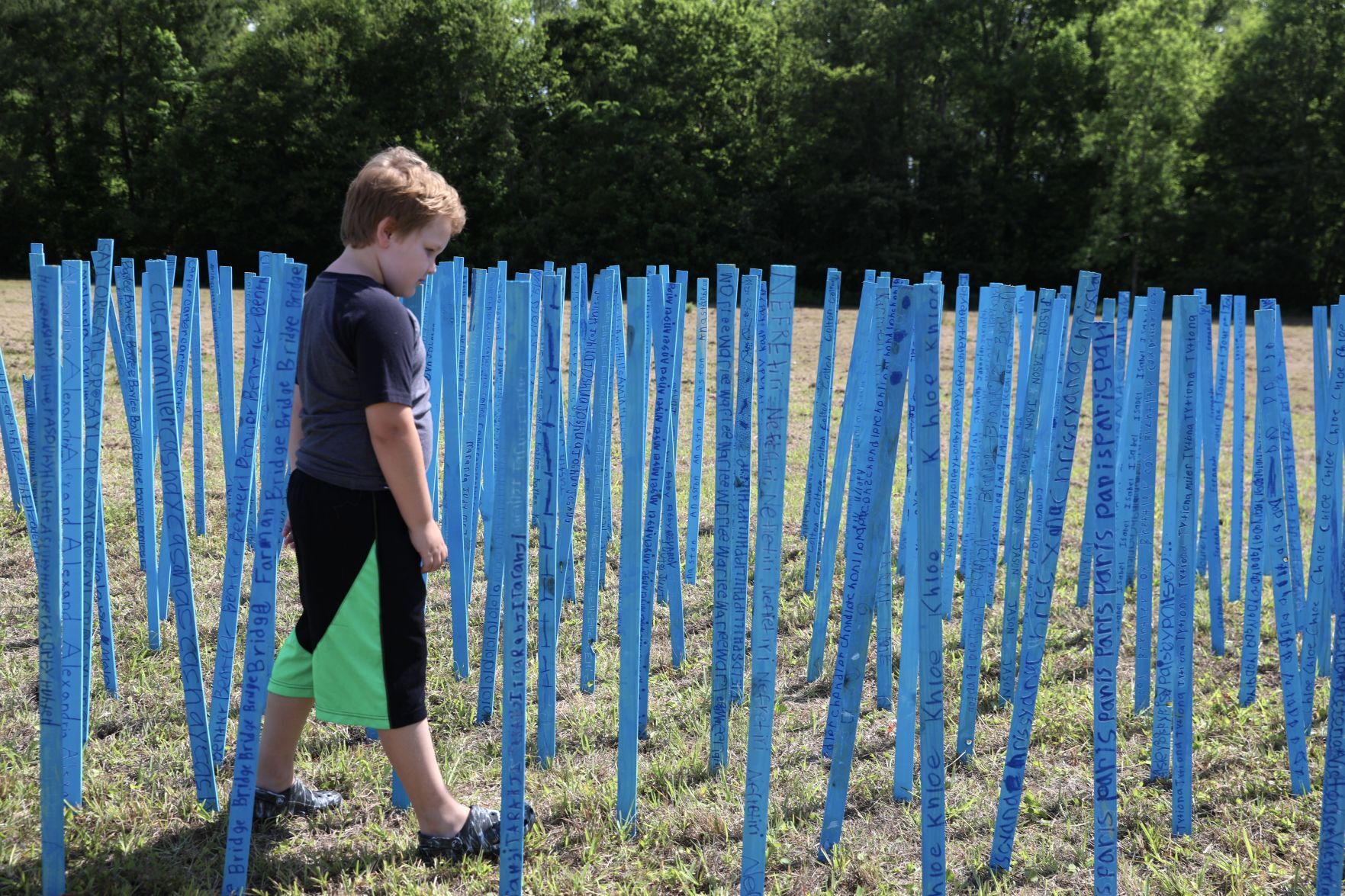 Outdoor Art Exhibit